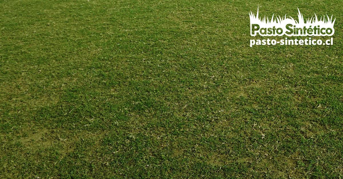 Pasto sintético para casas, pasto sintético