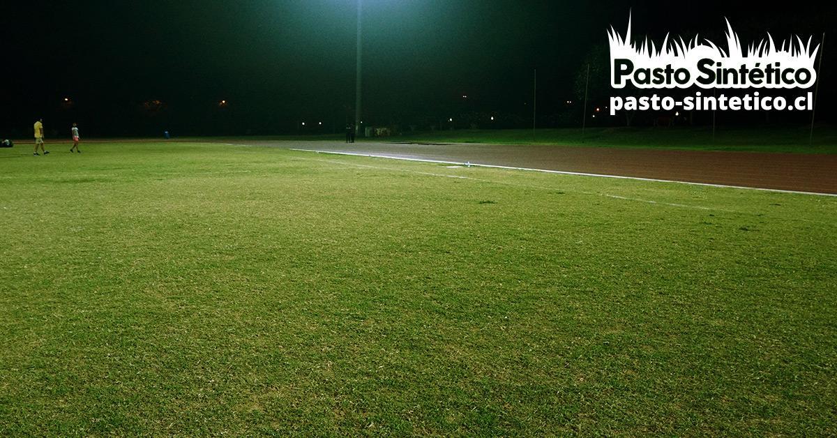 Césped sintético para canchas de fútbol