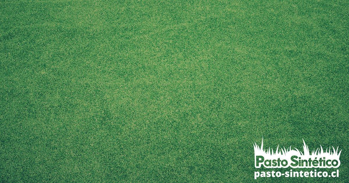 Pegamento para pasto sintético, césped sintético, pastos sintéticos para canchas, pegamento para pasto sintético, cancha de pasto sintético, mantenimiento de pasto sintético