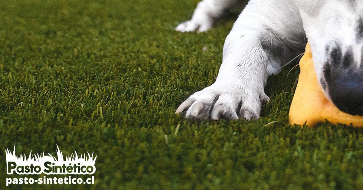 cancha de pasto sintético, césped artificial